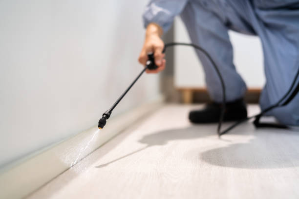 Licensed Rodent Control service in Tomball, TX - Nex Pest Control