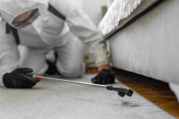 Professional Rodent Control technician working in Tomball, TX