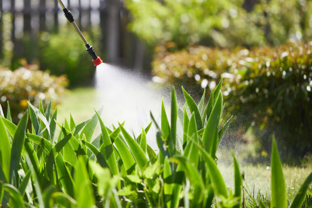 24/7 Emergency Rodent Control experts in Tomball, TX