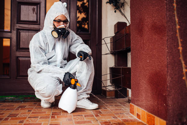 Reliable Rodent Control contractor in Tomball, TX by Nex Pest Control